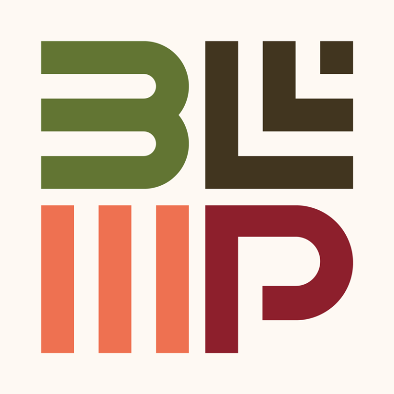 BLIP-copy